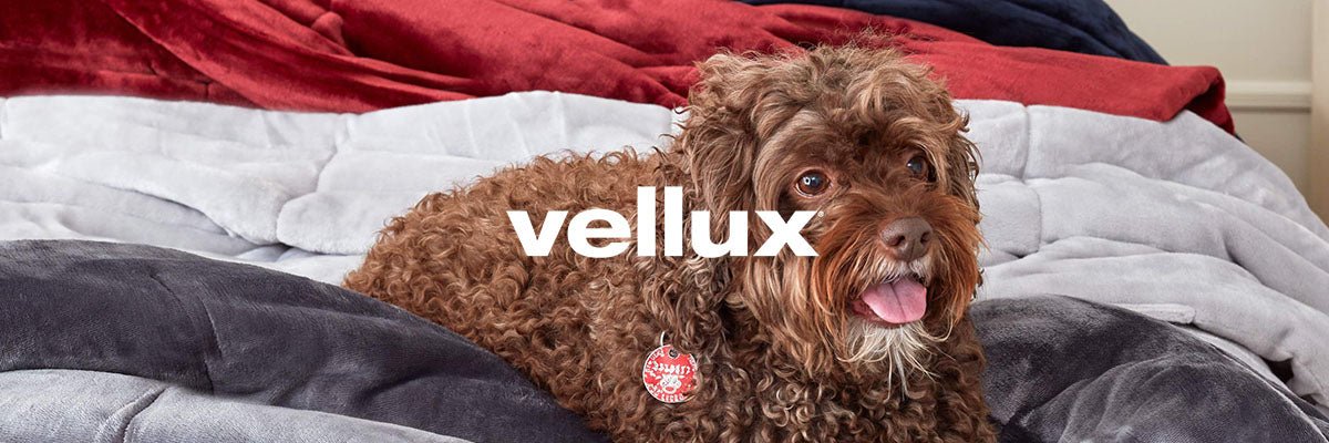 Vellux - WestPoint Home