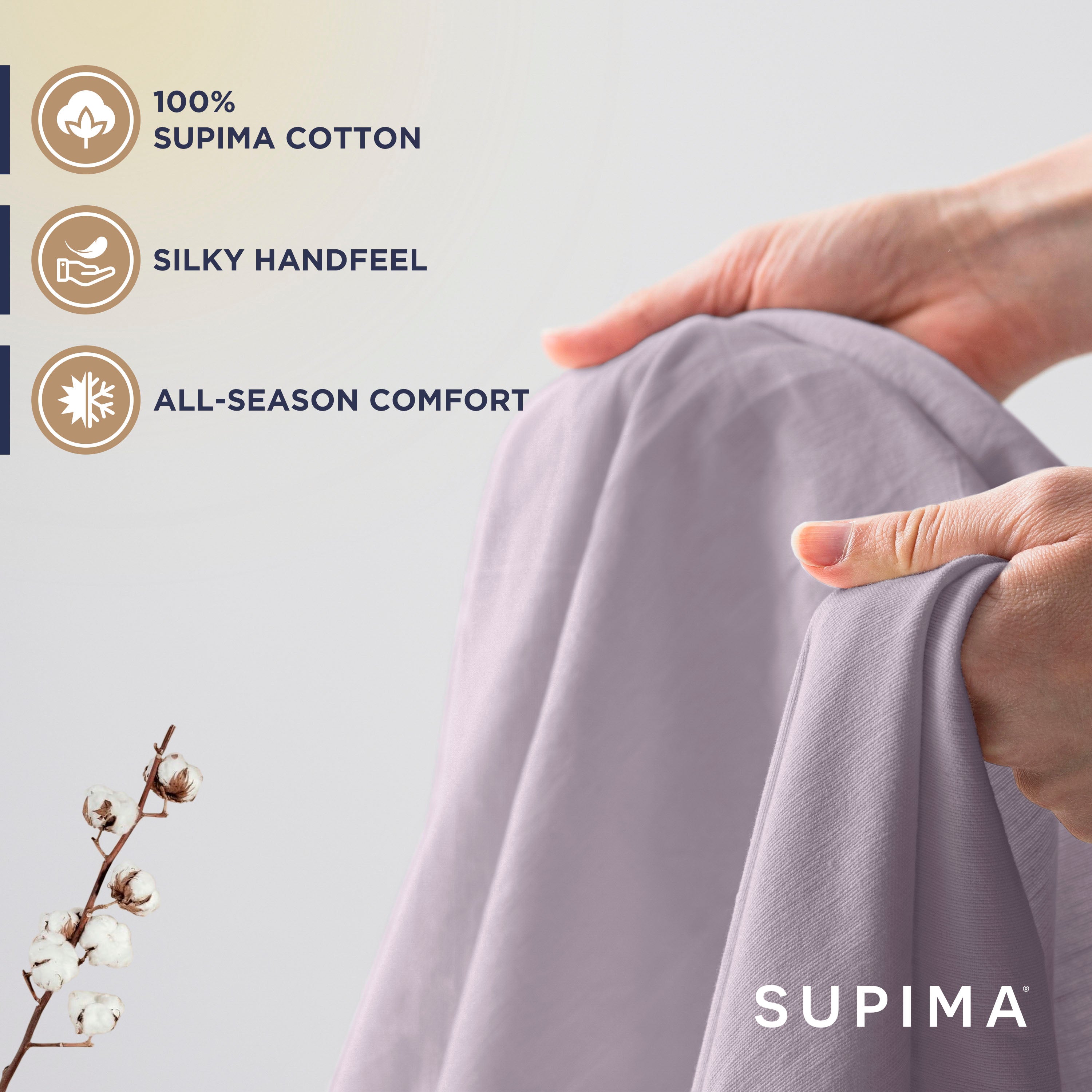 Hands holding a soft, light purple sheet made of Supima cotton, with cotton plant in the foreground.