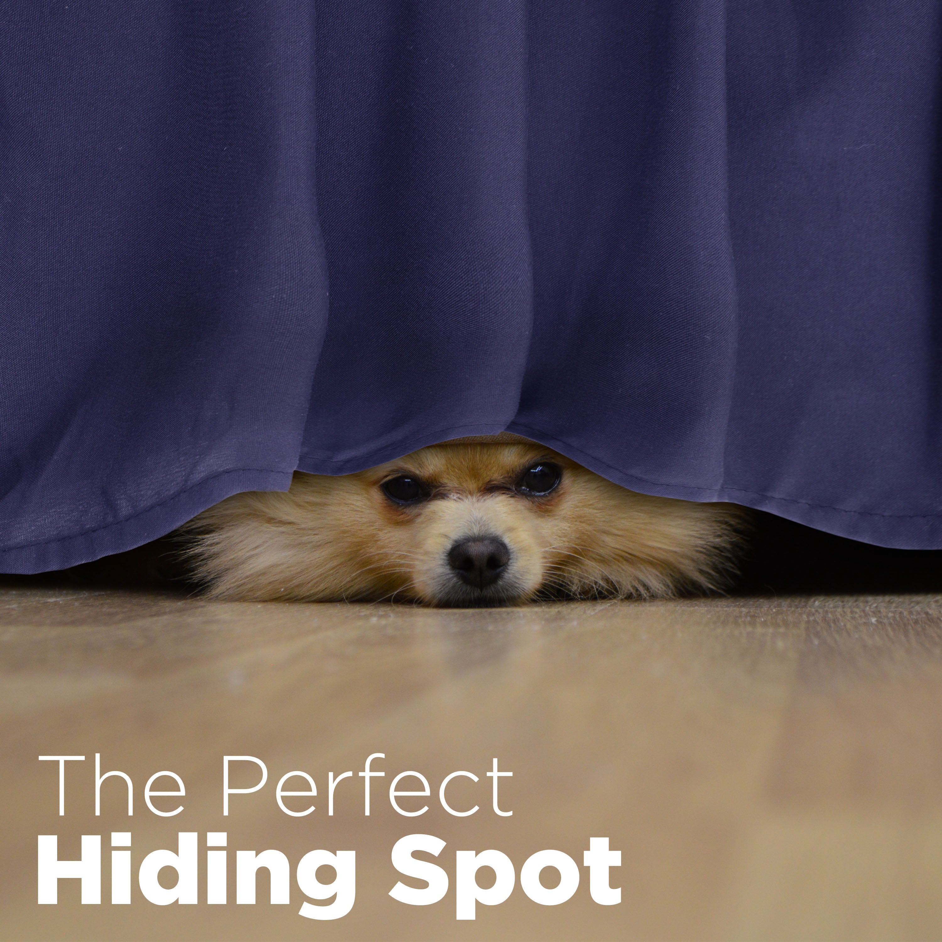 A small dog peeks out from under a ruffled bed skirt on a wooden floor.