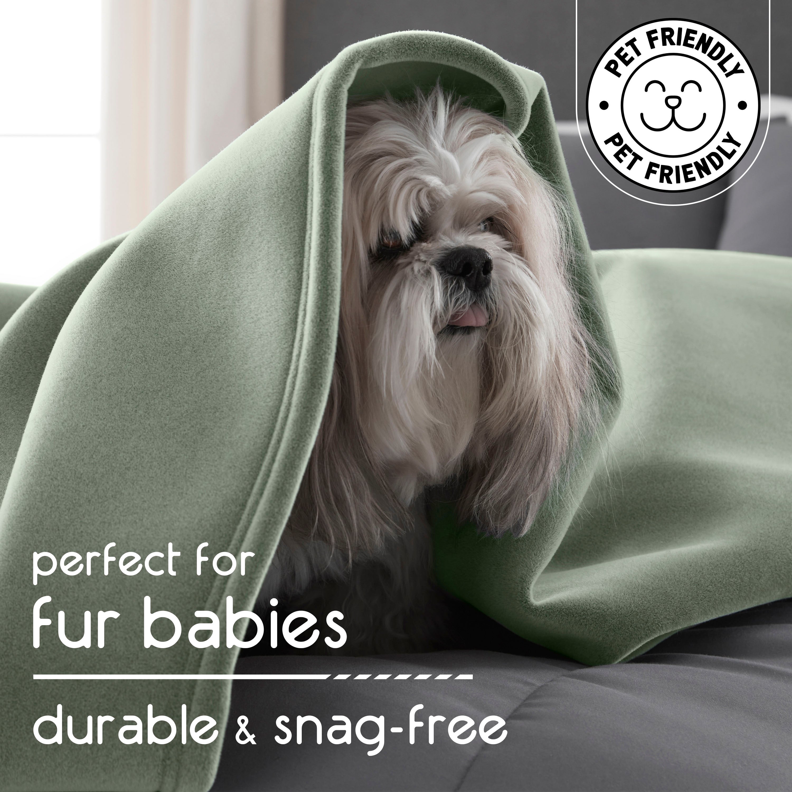 A small dog is wrapped in a soft green blanket on a couch with a neutral background.