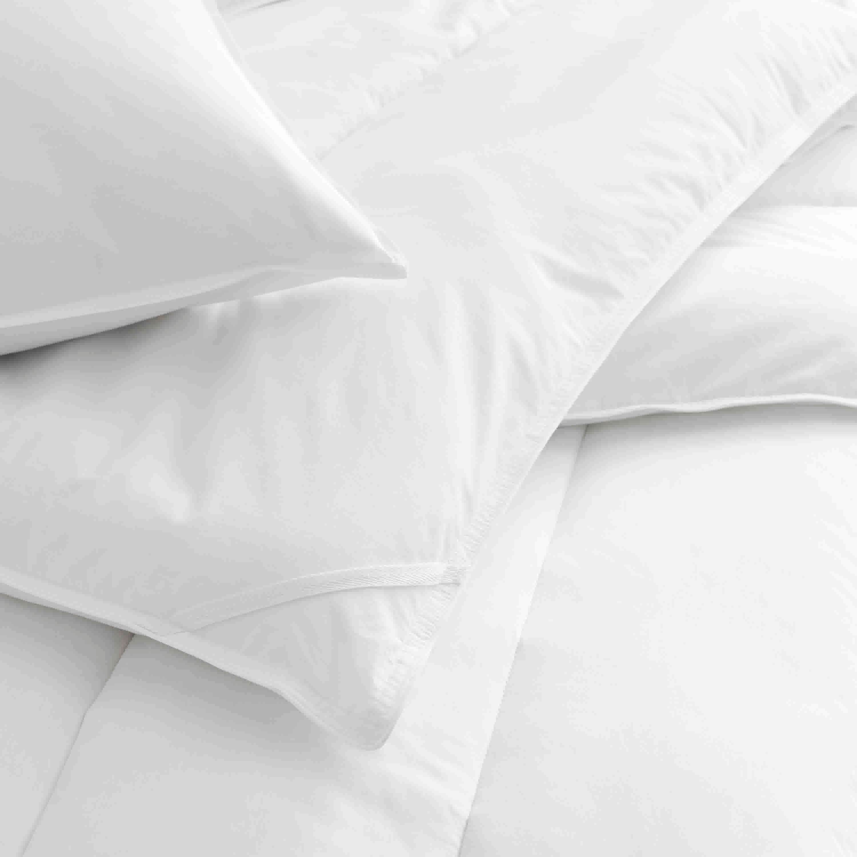 White standard pillow and pillow protector set, featuring a smooth fabric and clean design.