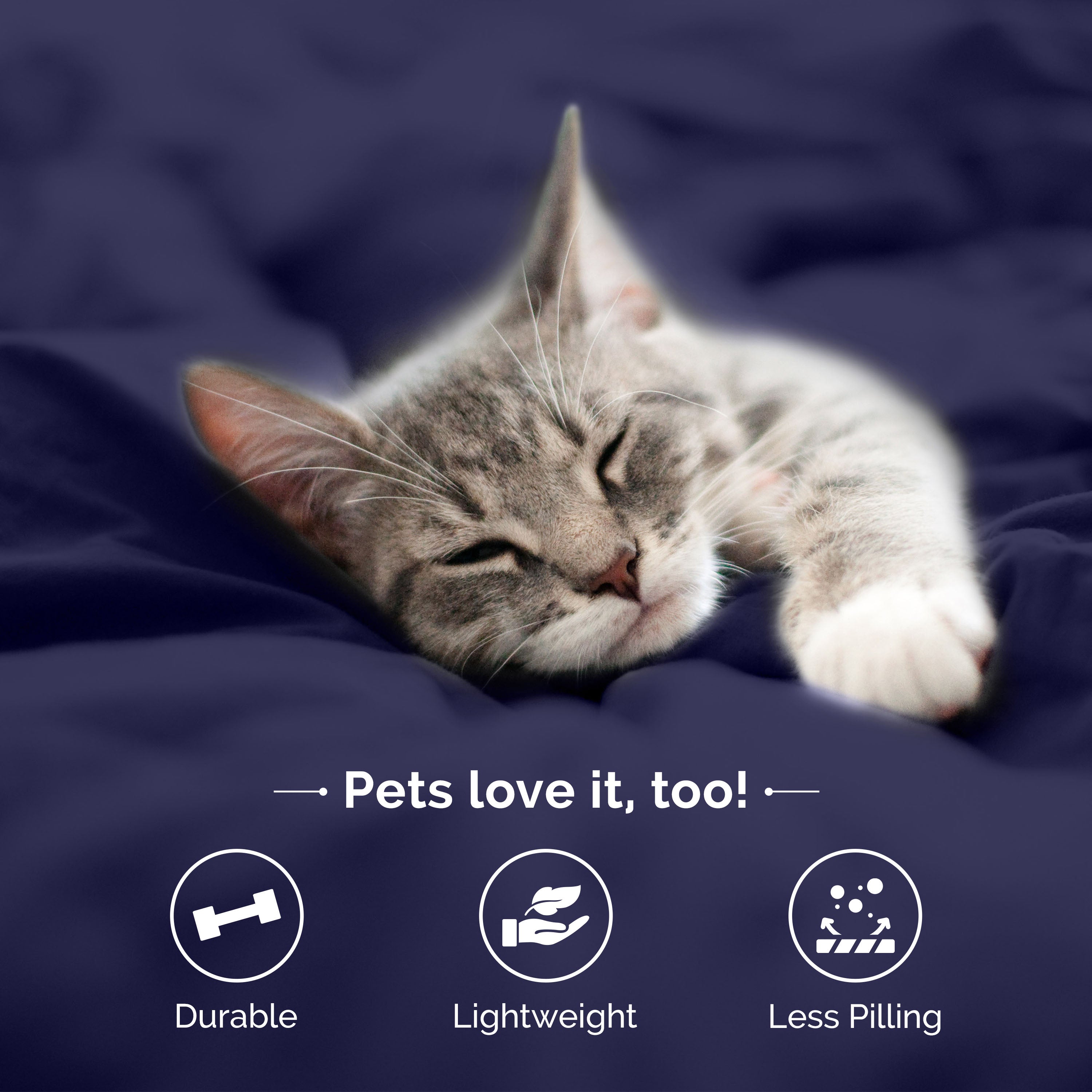 A sleeping gray cat rests on a dark blue bedspread with text highlighting the sheet set's features.