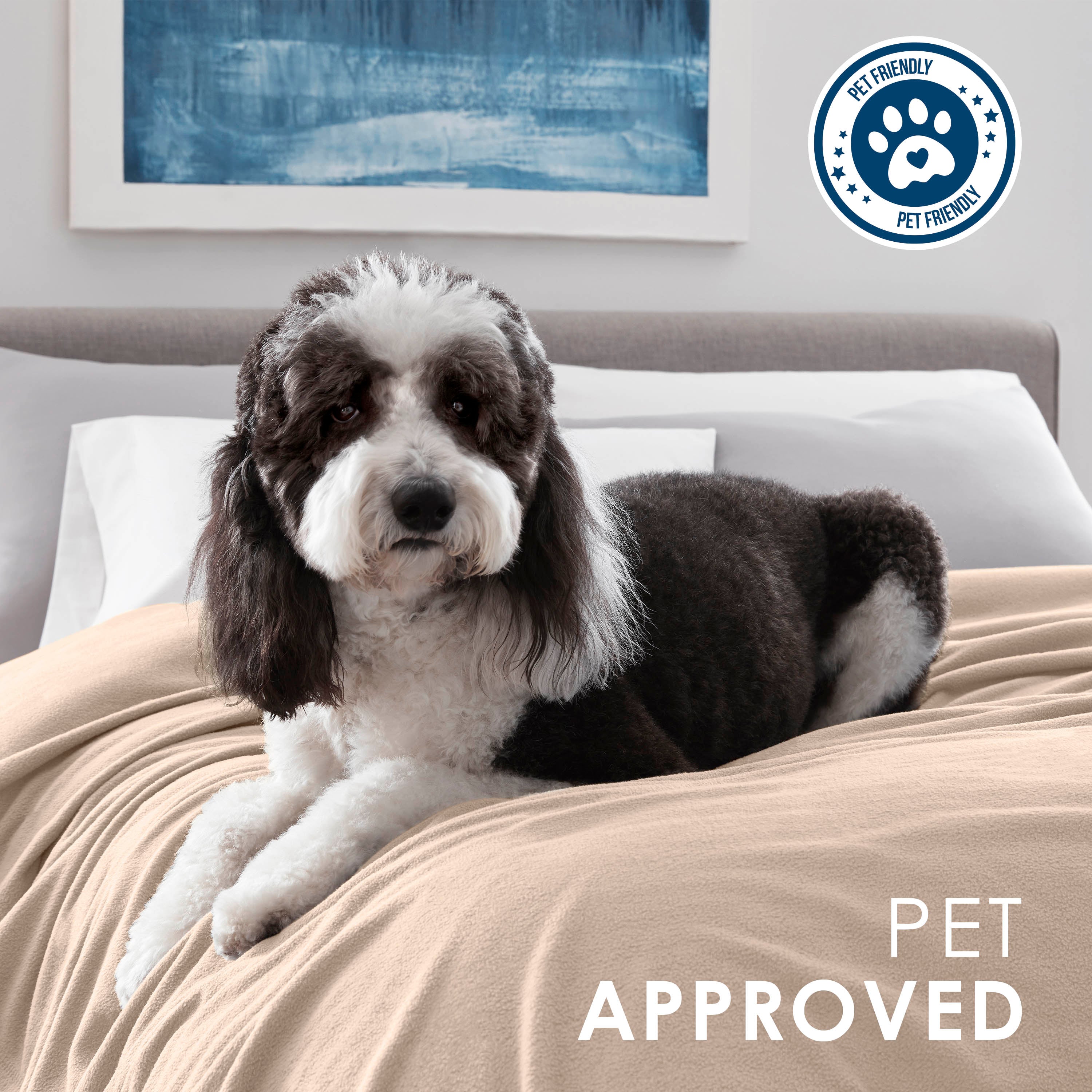 A black and white dog lies on a beige fleece blanket on a bed with white pillows and a blue abstract painting in the backgrou
