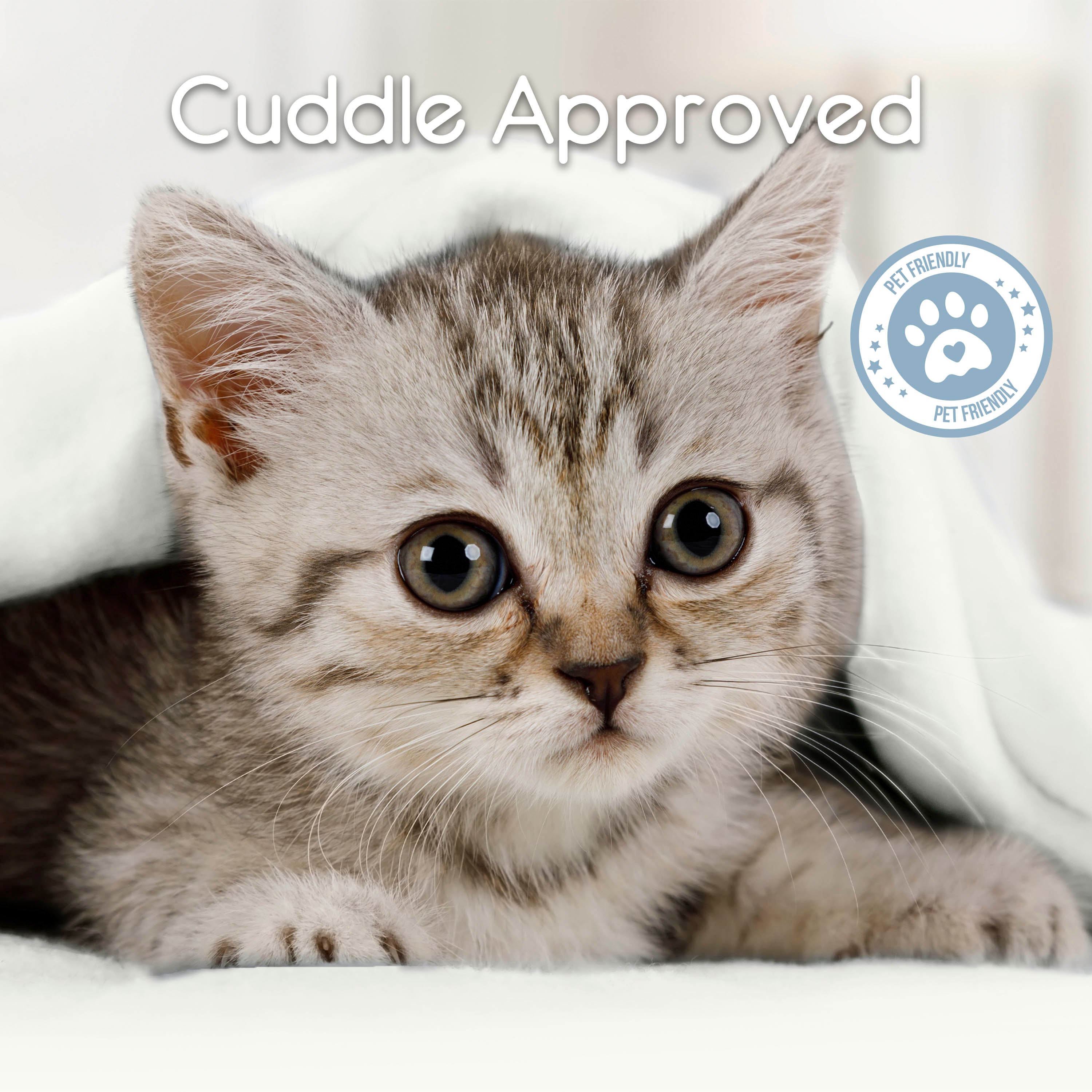 Gray tabby kitten peeking out from under a white blanket with a pet-friendly badge in the corner.