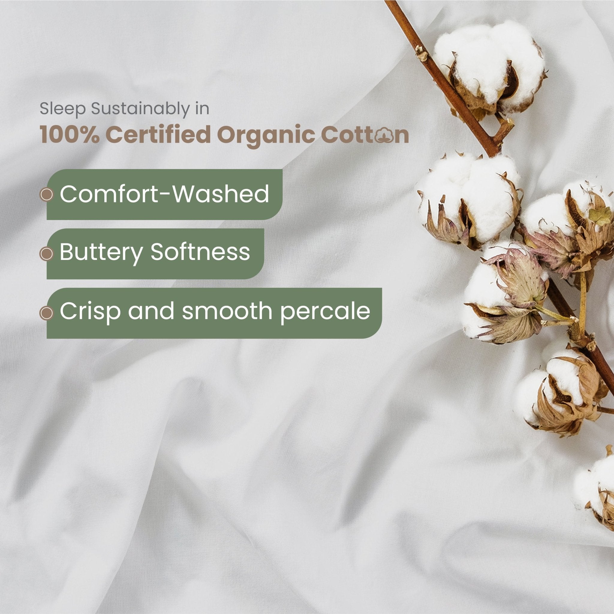 EcoPure Comfort Wash Soft 100% Cotton Collection Sheet Set