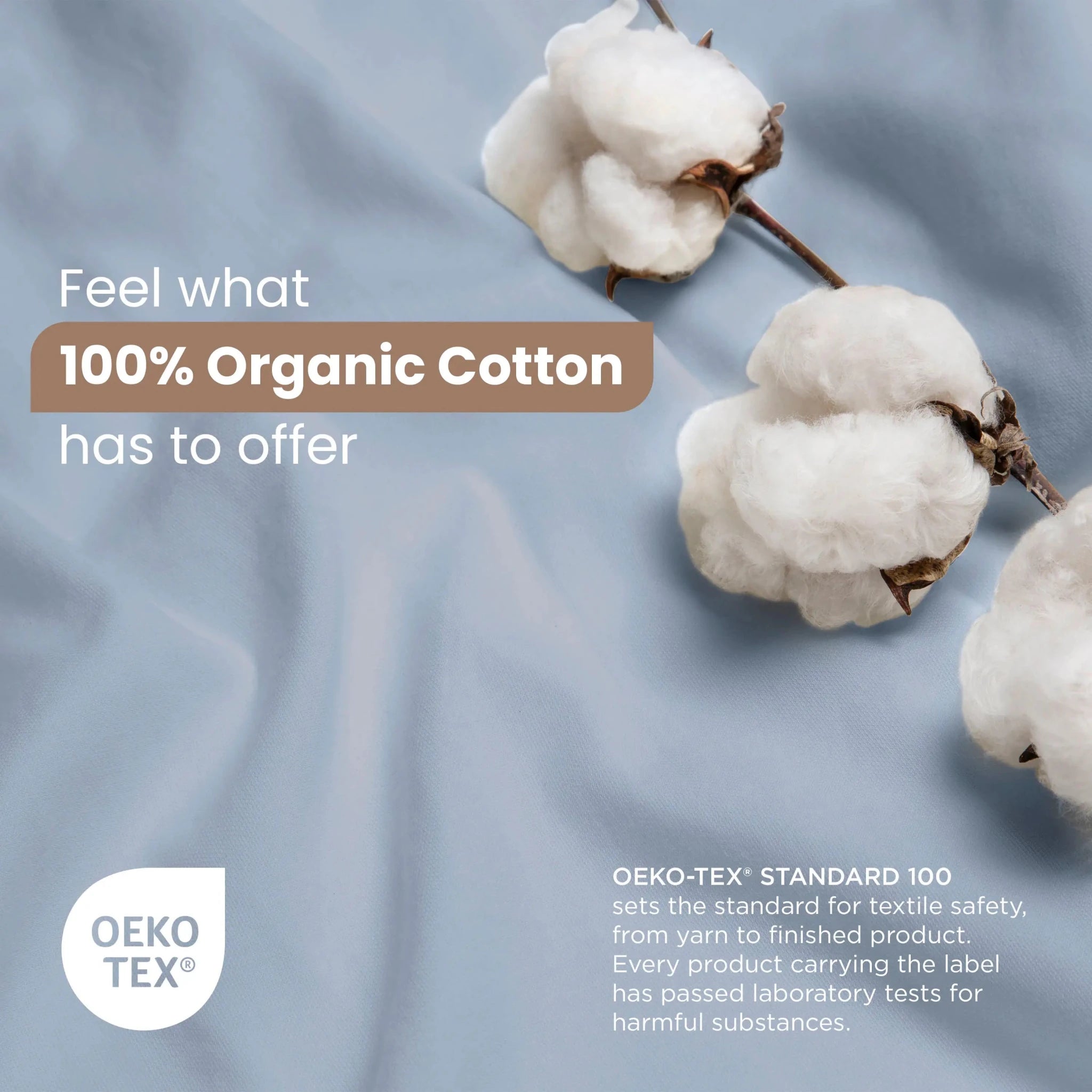 100% Organic Cotton with OEKO-TEX certification on a soft blue background