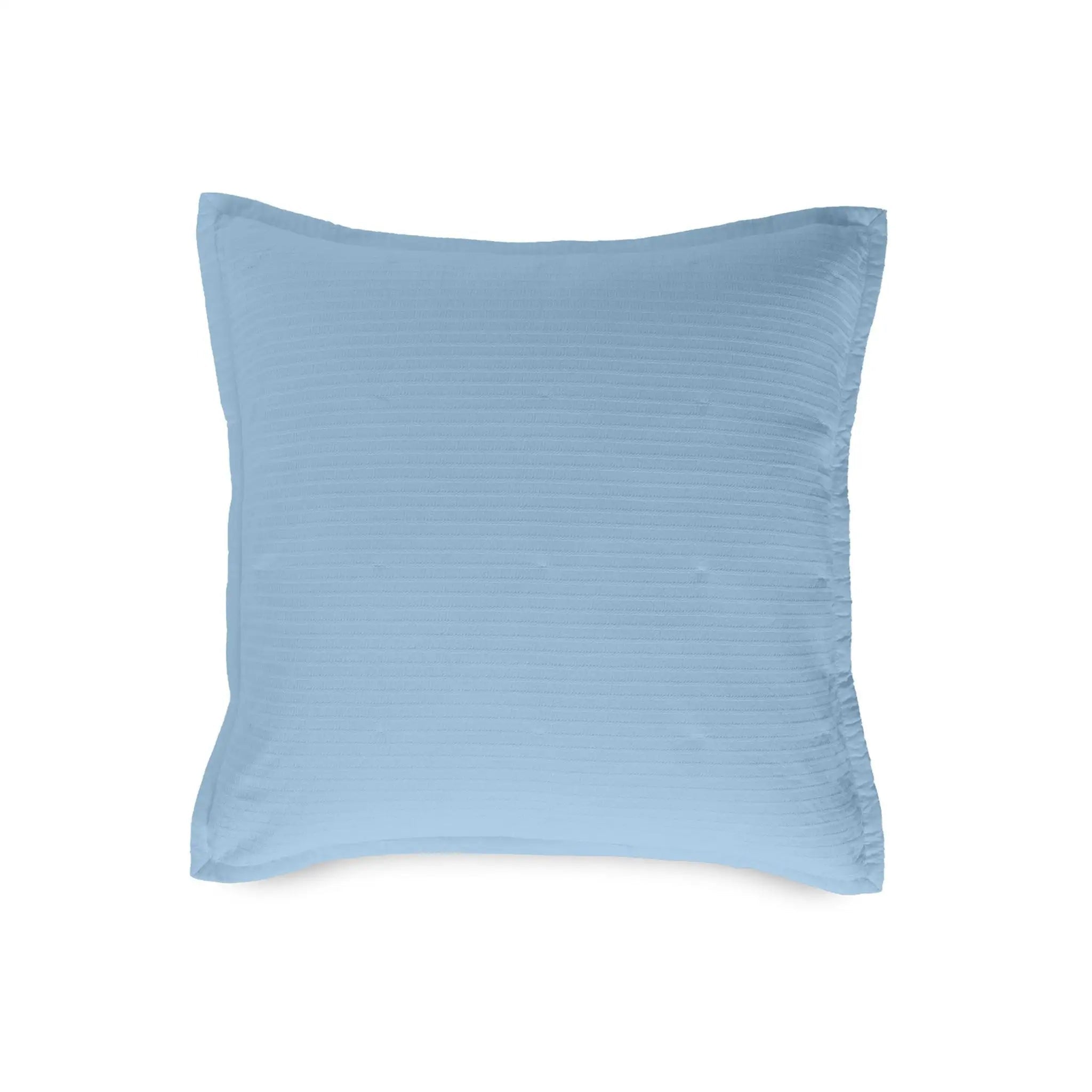 Blue euro on a white background