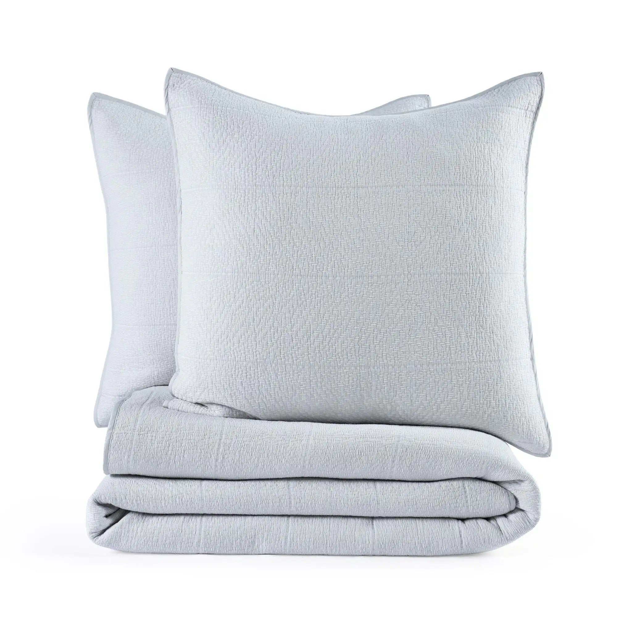 Gray quilt and euro on a white background.