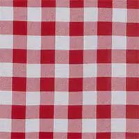 Red and white checkered gingham pattern fabric filling the frame.