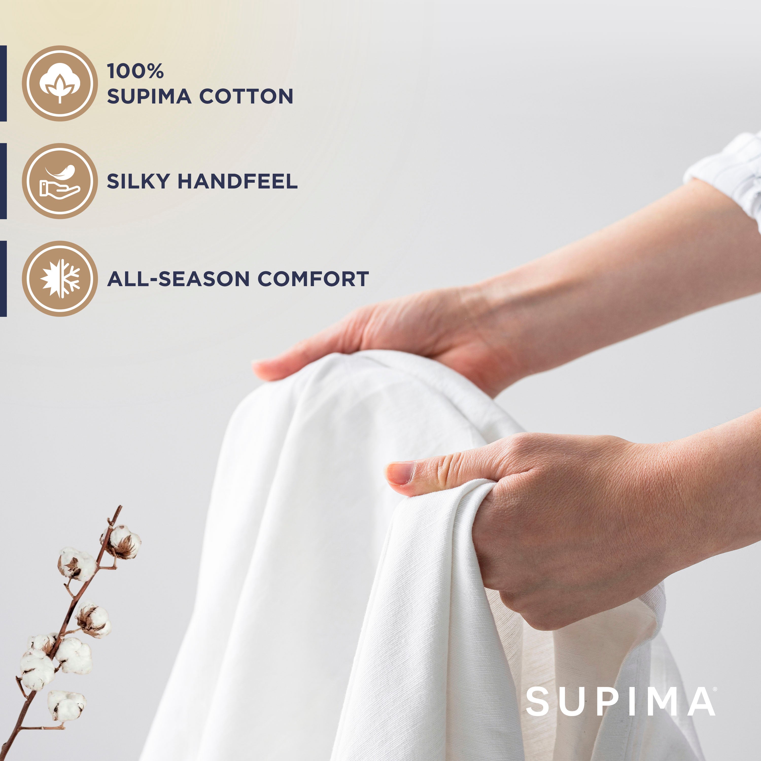 Hands holding a white sheet, with a cotton plant branch visible in the foreground.