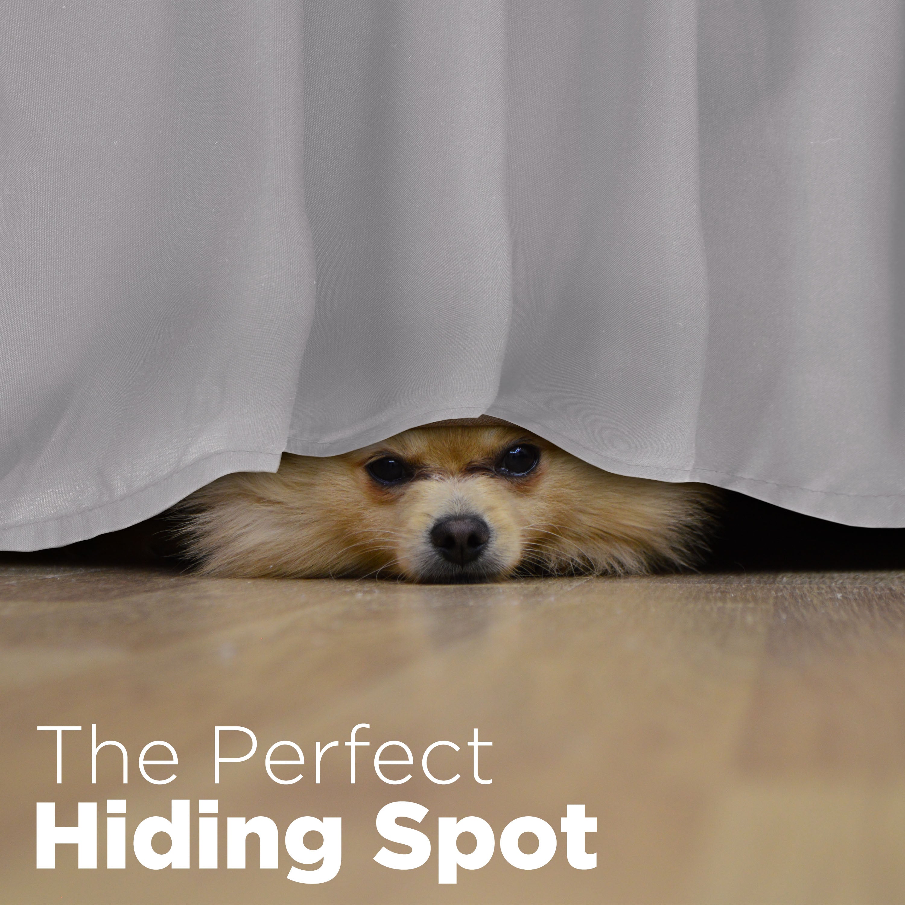 A small dog peeks out from under a ruffled bed skirt on a wooden floor.