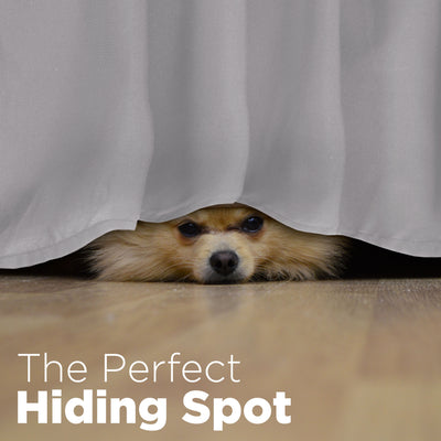 A small dog peeks out from under a ruffled bed skirt on a wooden floor.