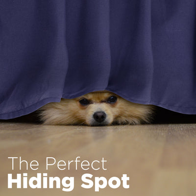 A small dog peeks out from under a ruffled bed skirt on a wooden floor.