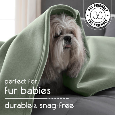 A small dog is wrapped in a soft green blanket on a couch with a neutral background.