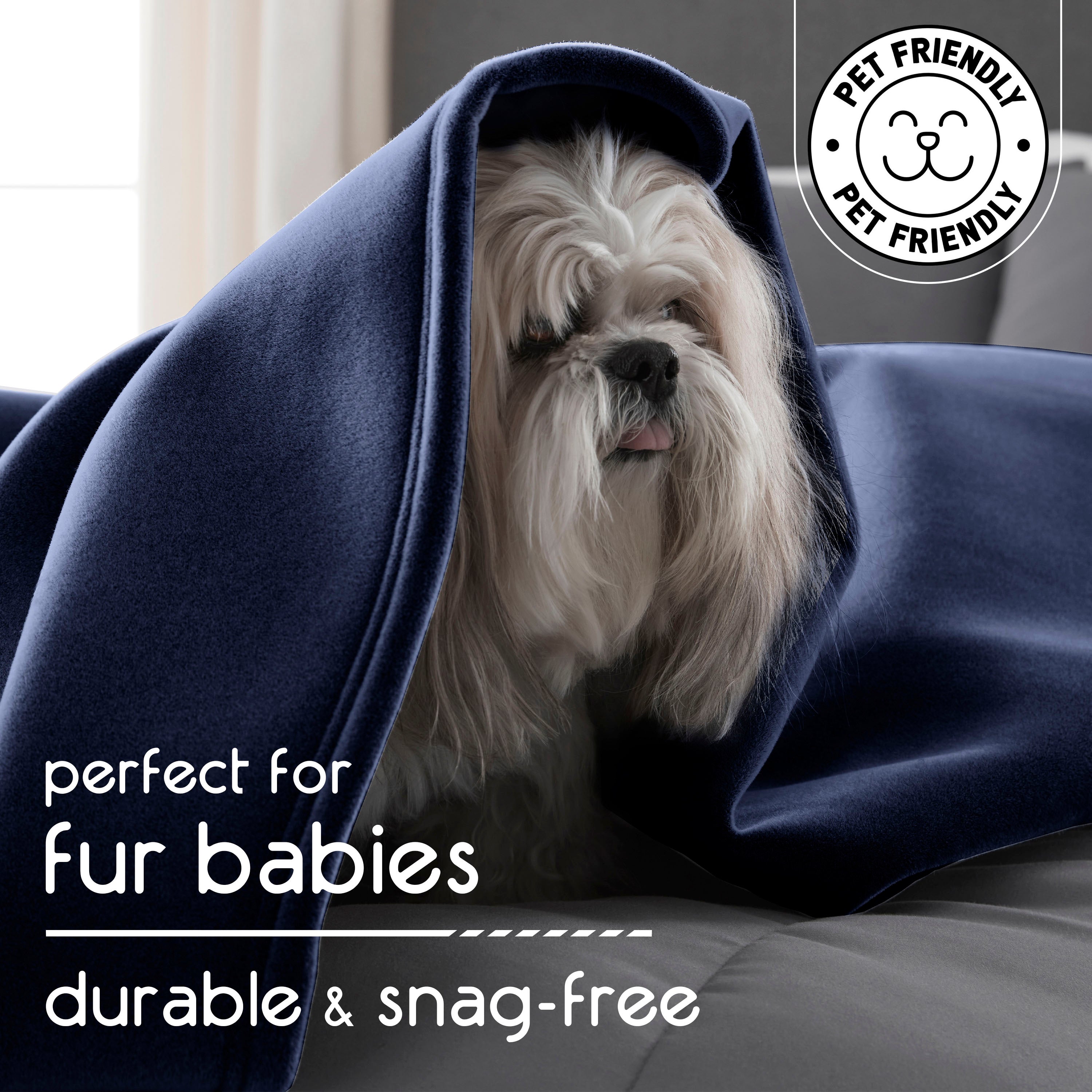 A small dog is partially covered by a dark blue blanket on a couch, with soft lighting in the background.