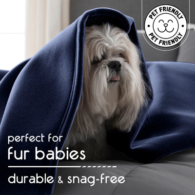 A small dog is partially covered by a dark blue blanket on a couch, with soft lighting in the background.