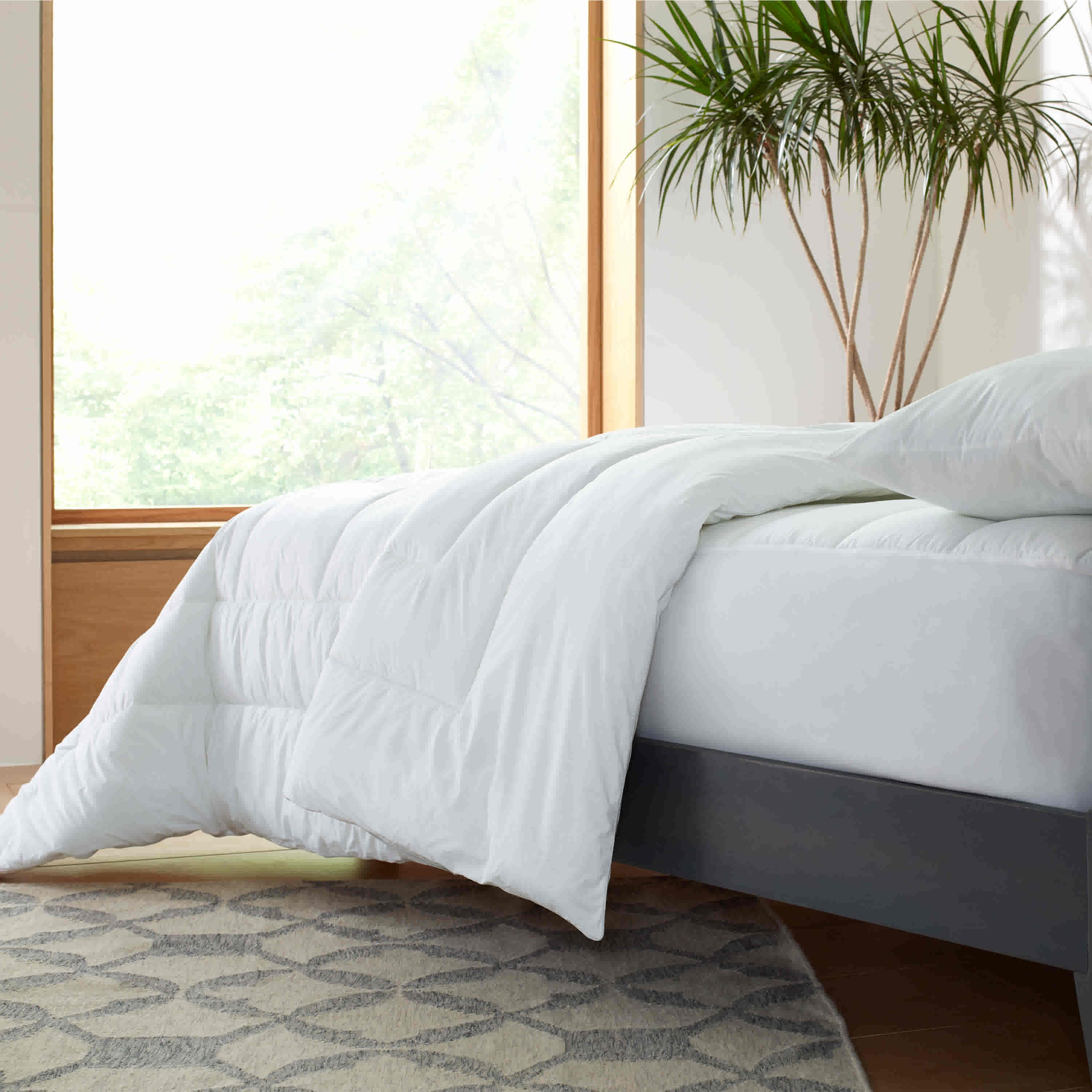 White allergen-barrier mattress pad draped over a bed with two pillows, set in a bright room with a plant.