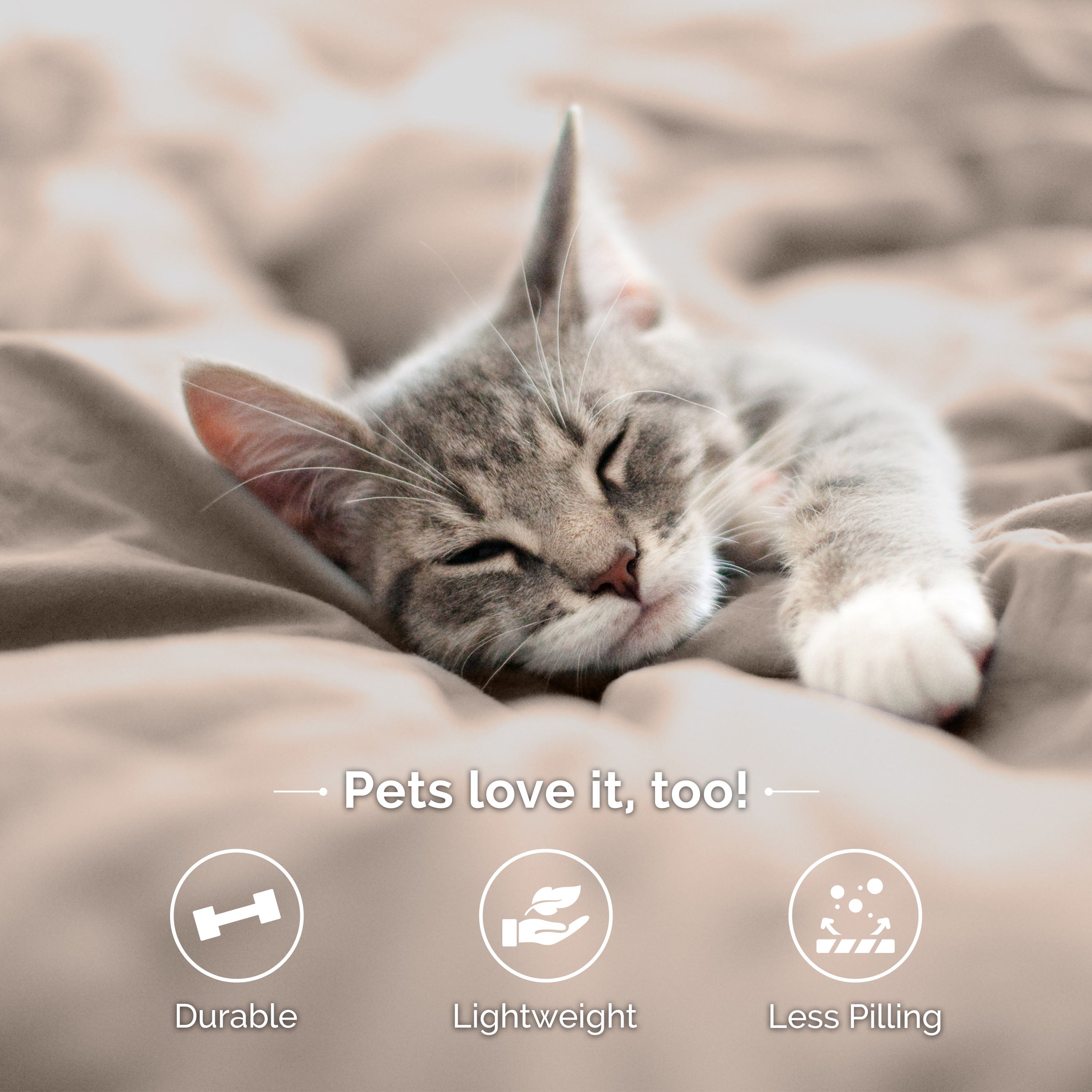 A gray cat sleeps on a beige bedspread with text highlighting durability, lightweight, and less pilling.