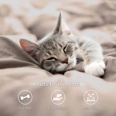 A gray cat sleeps on a beige bedspread with text highlighting durability, lightweight, and less pilling.