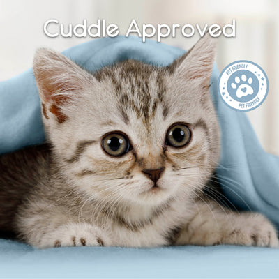 Gray tabby kitten peeking out from under a light blue fleece blanket.