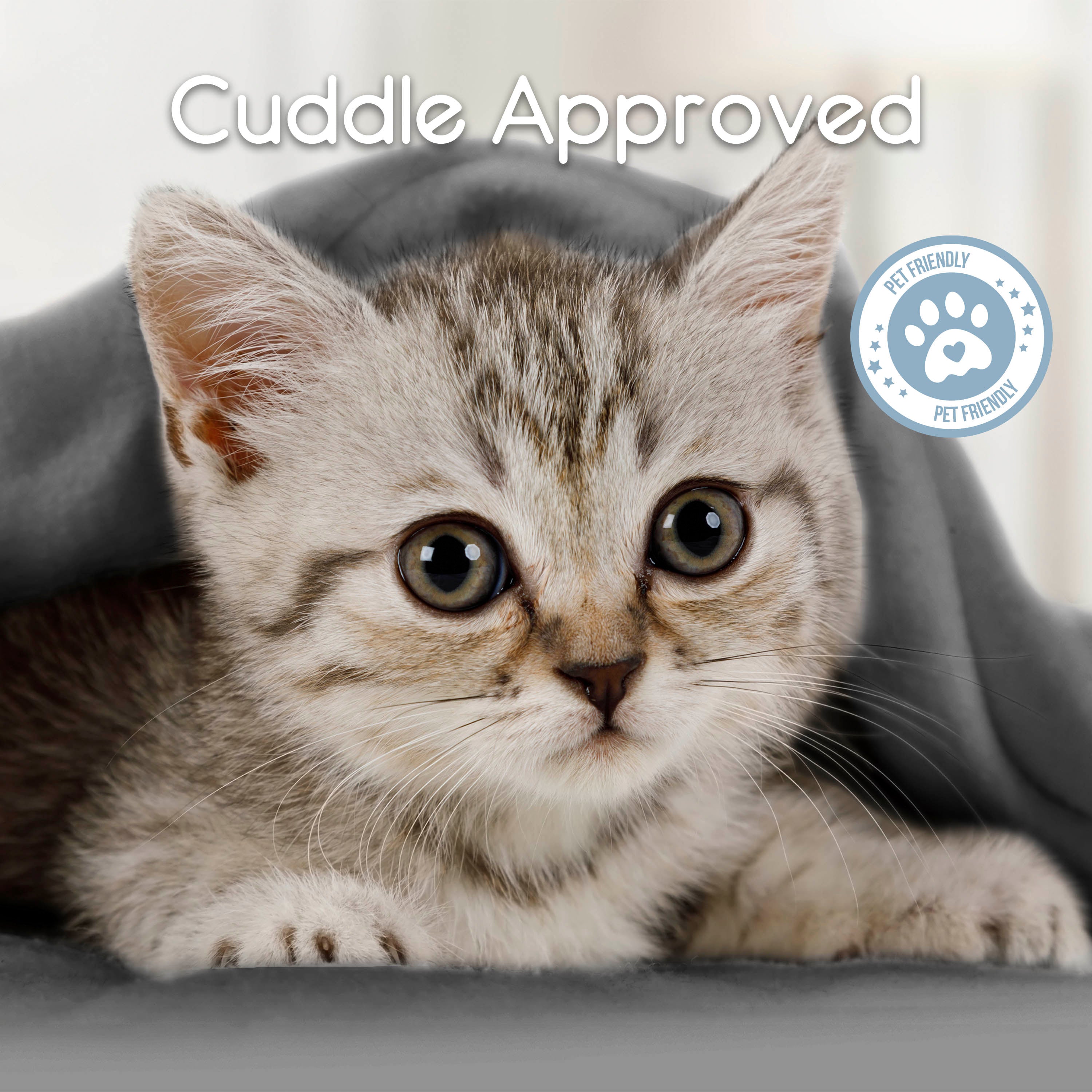Gray micro fleece blanket with a kitten peeking out from underneath.