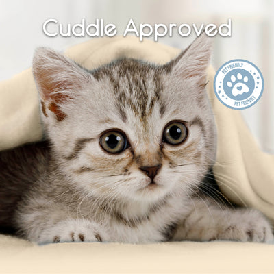 Gray tabby kitten peeking out from under a beige blanket with a pet-friendly badge in the corner.