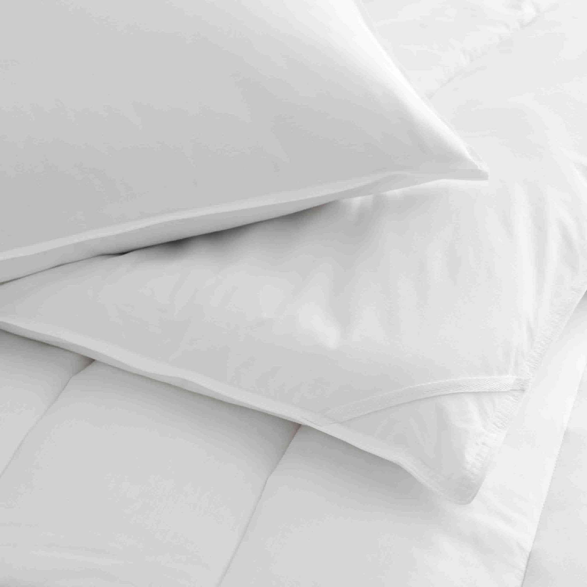 Martex Clean Essentials Standard White Pillow and Pillow Protector Set with SILVERbac