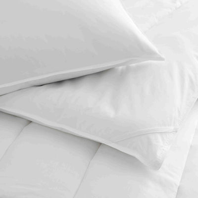 Martex Clean Essentials Standard White Pillow and Pillow Protector Set with SILVERbac
