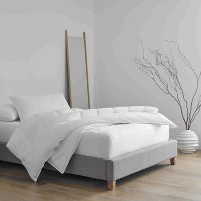 Martex Clean Essentials Standard White Pillow and Pillow Protector Set with SILVERbac
