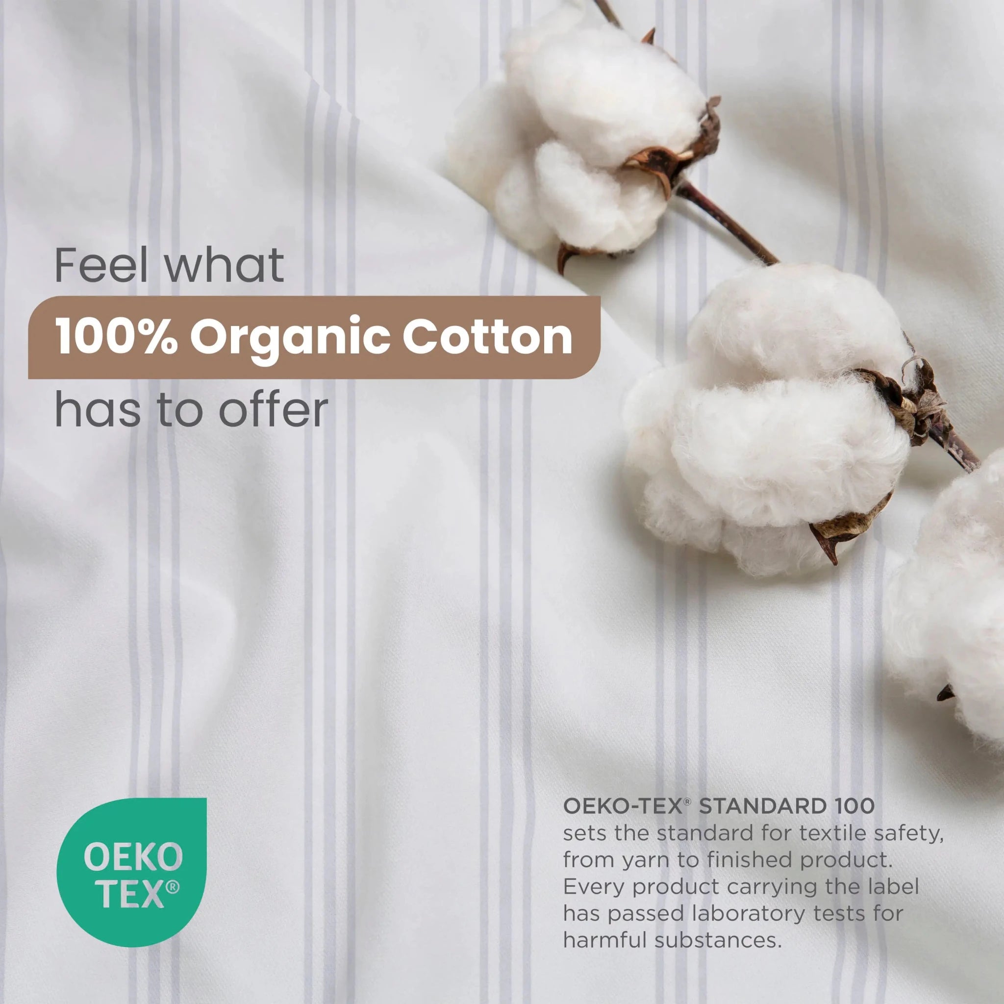 White striped fabric with cotton bolls arranged on top, alongside text reading 'Feel what 100% Organic Cotton has to offer' and an OEKO-TEX logo.