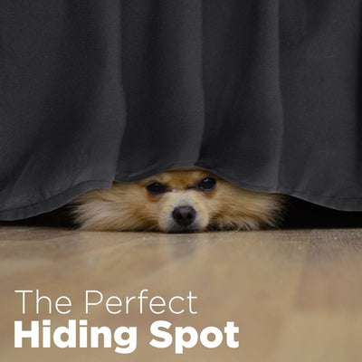 A small fluffy dog peeks out from under a black bed skirt on a light wood floor, with the text 'The Perfect Hiding Spot' overlaid at the bottom.