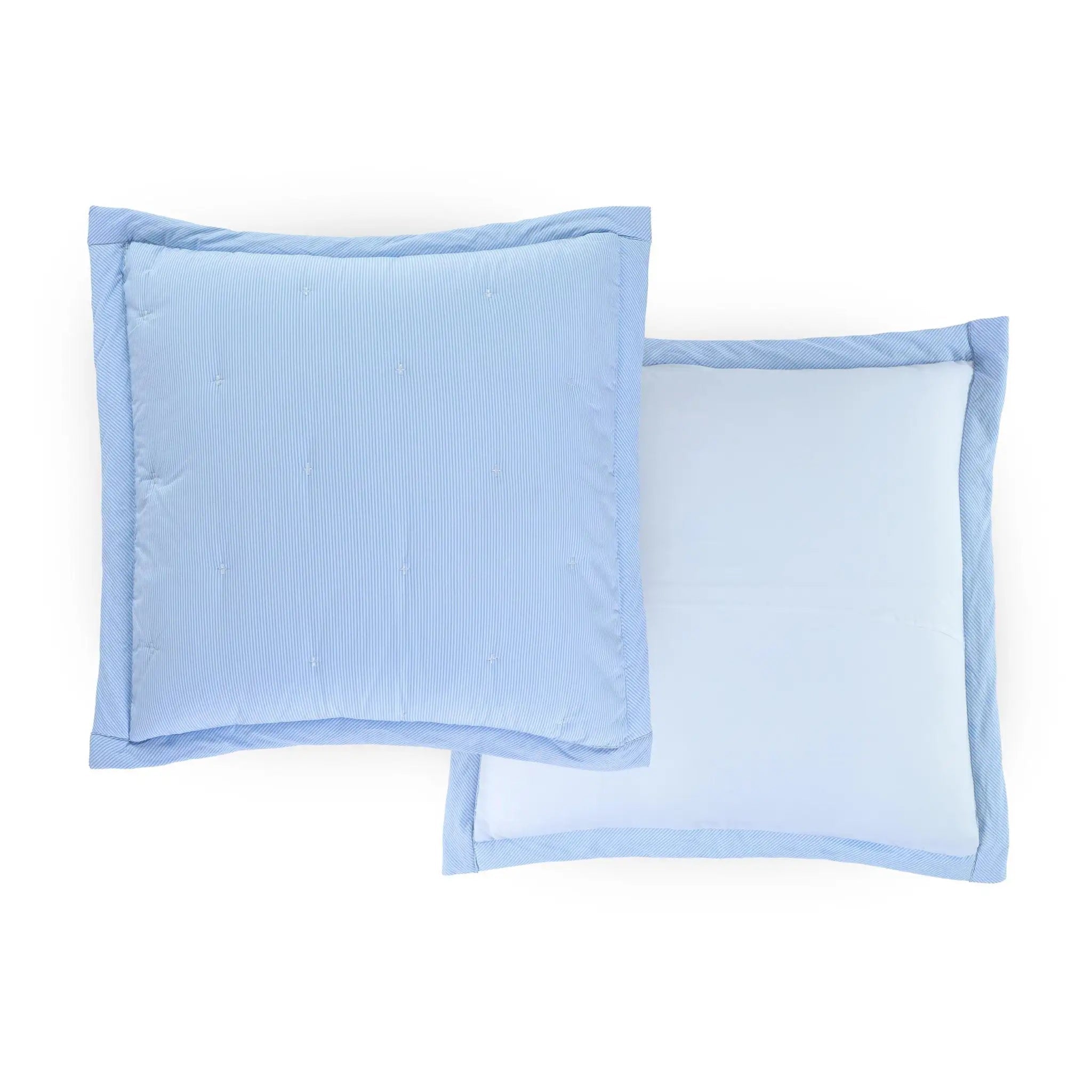 Two light blue euros shown on a plain white background, with one showing reversible side.