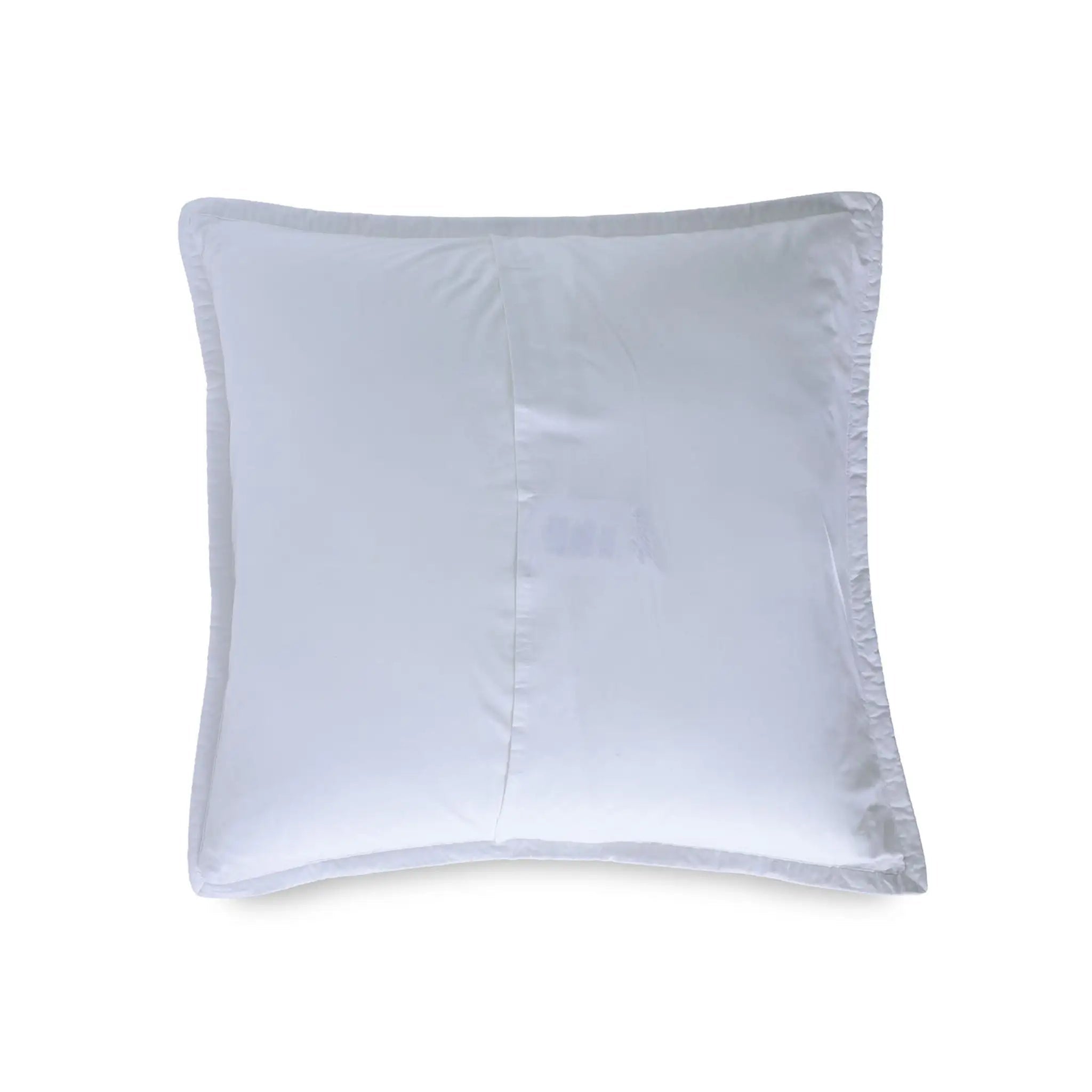 Reverse side of white euro on a white background