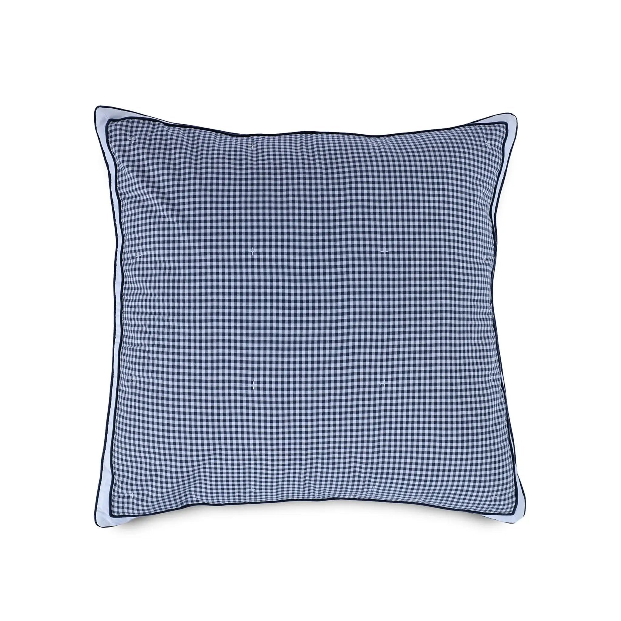 Blue checkered euro on a white background