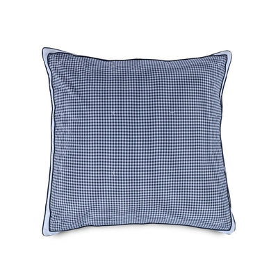 Blue checkered euro on a white background