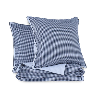 Set of blue checkered quilt and euro on a white background