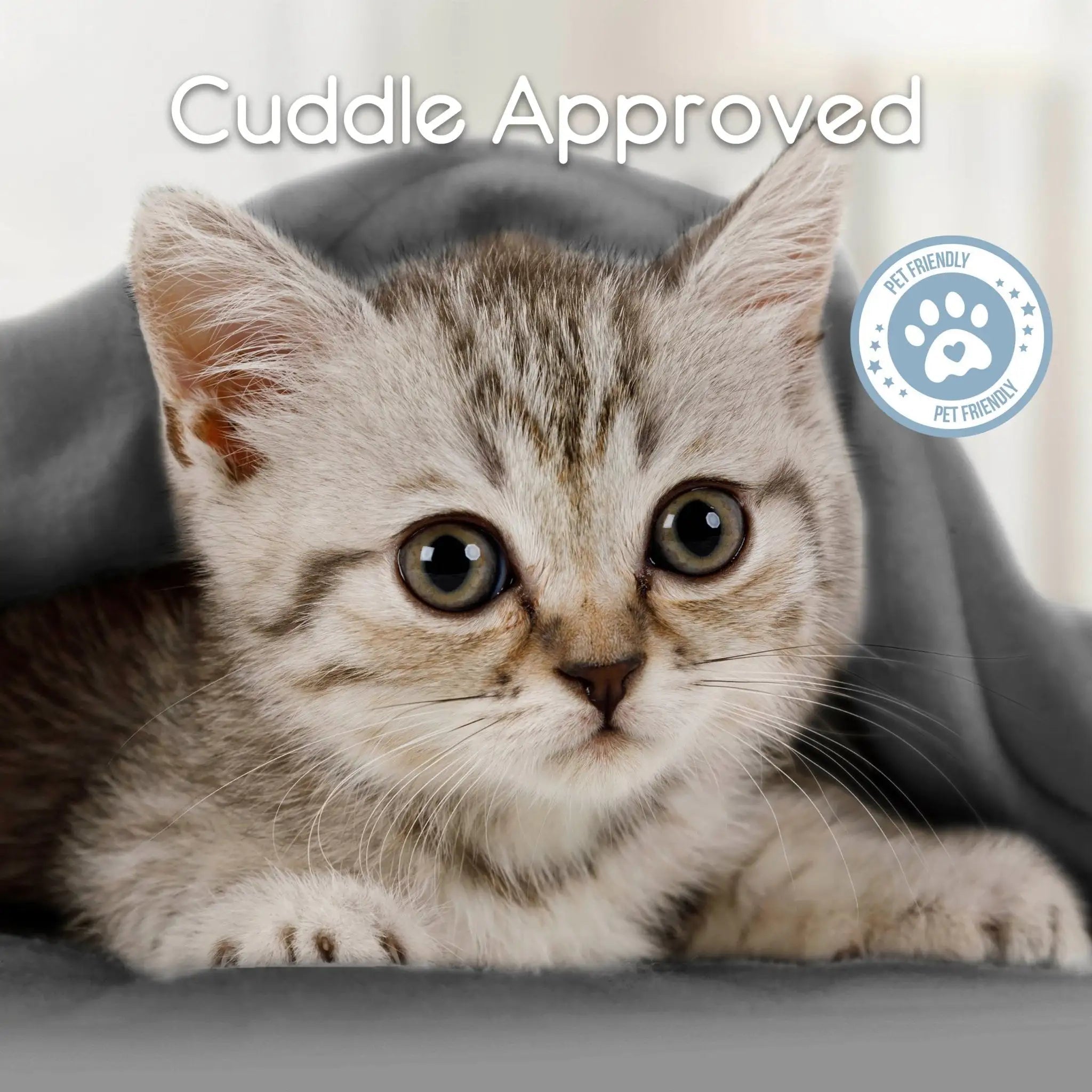 Cute kitten with 'Cuddle Approved' text and paw print icon on a tornado gray blanket.