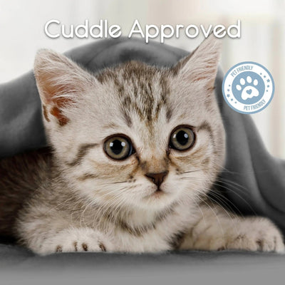 Cute kitten with 'Cuddle Approved' text and paw print icon on a tornado gray blanket.
