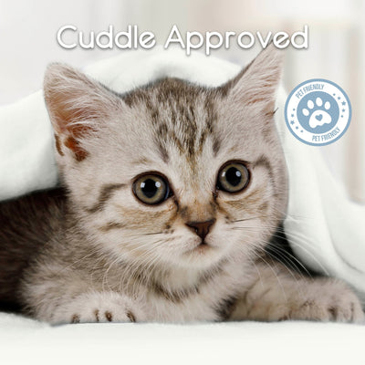 Vellux Micro Fleece Soft All-Season Blanket
