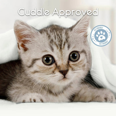 A close-up of a gray kitten lying under a star white blanket, with the text 'Cuddle Approved' above it and a circular 'Pet Friendly' badge on the right.