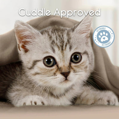 Kitten with 'Cuddle Approved' text and a paw print icon on a soft nutmeg blanket background