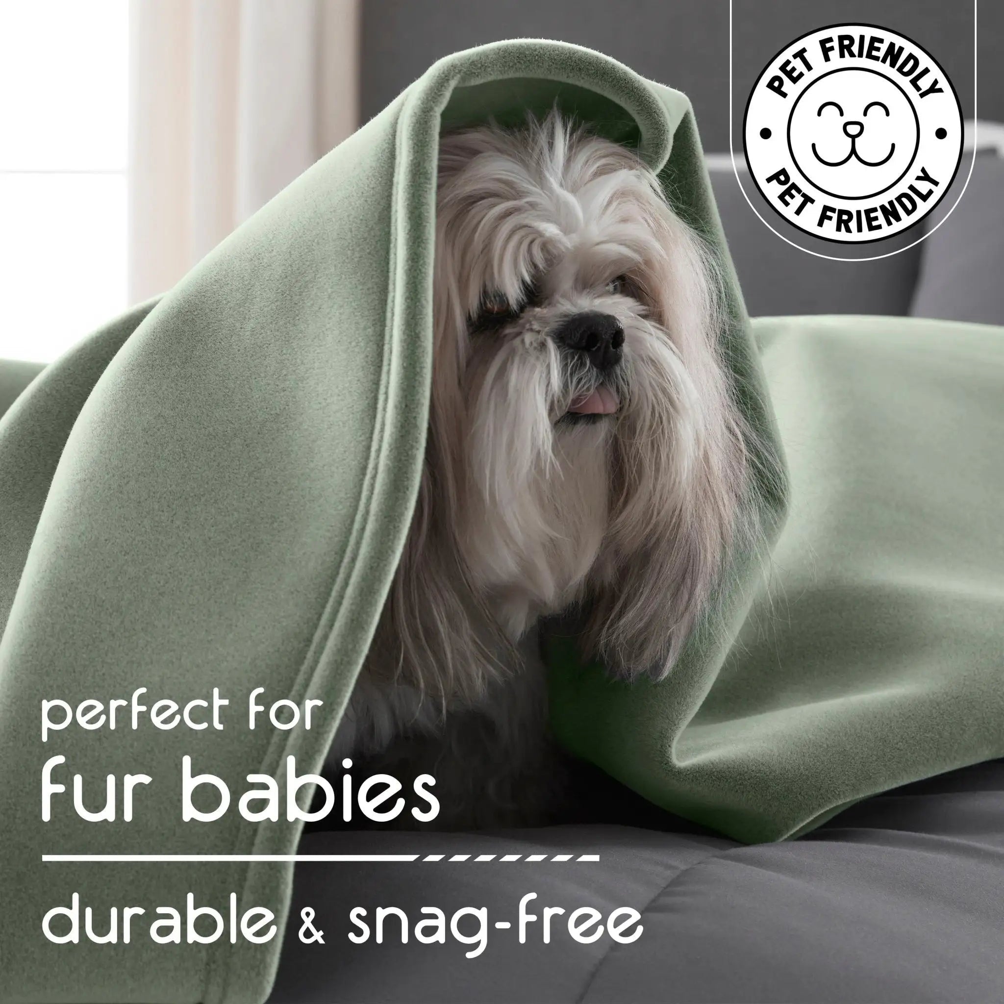 Dog wrapped in a green blanket with 'Pet Friendly' logo and text about durability and snag-free quality.