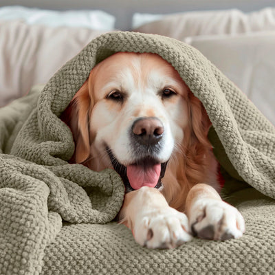 Vellux Plush Texture Embossed Knit Blanket